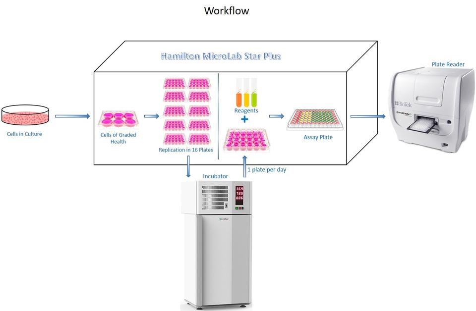 Workflow schematic