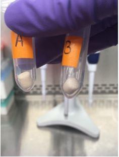 Example of the lyophilized format for Lyophilized format for NIST RM 8230