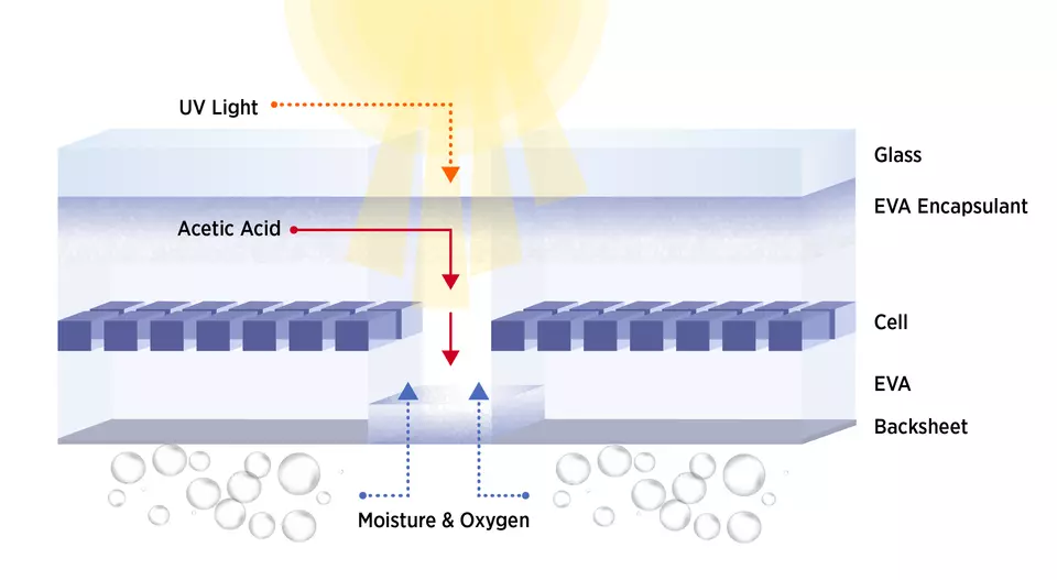 A cross section of a solar panel shows how stressors localize between solar cells and contribute to the accelerated cracking of backsheets.