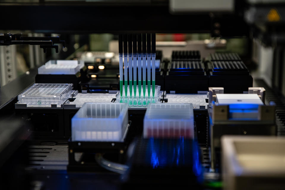 A row of eight pipettes suck up green liquid before moving it to a different set of wells for testing.