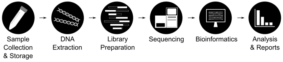 Metagenomics Workflow