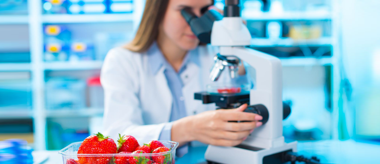 Checking food Strawberries, on the content herbicides and pesticides