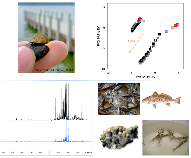 Environmental metabolomics
