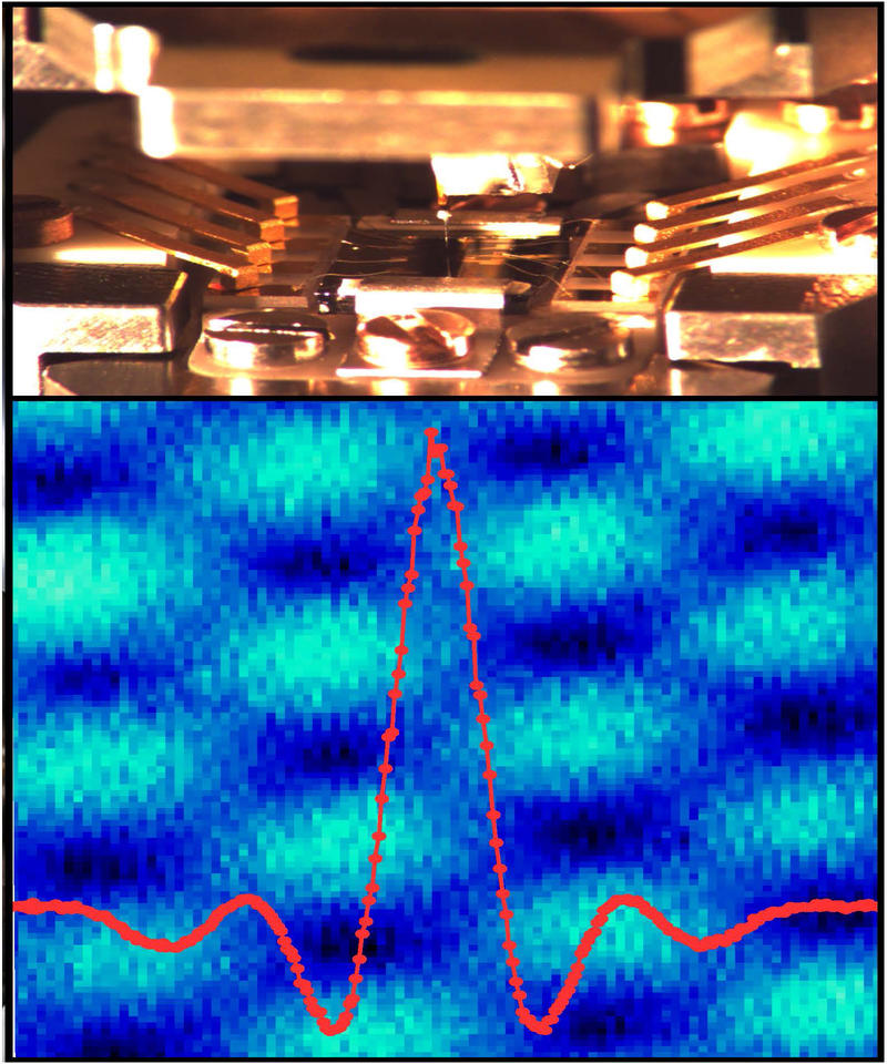 three in one scanning probe module