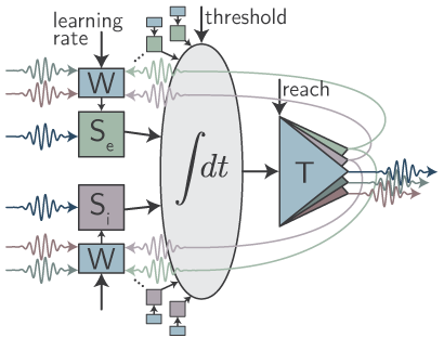 Schematic of basic loop neuron structure
