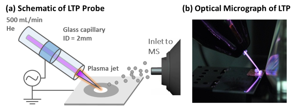 Schematic of the low temperature plasma probe