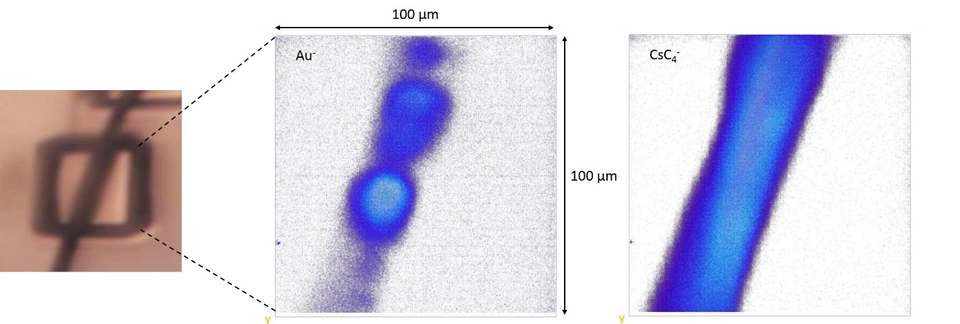 Optical micrograph of analysis area and image data