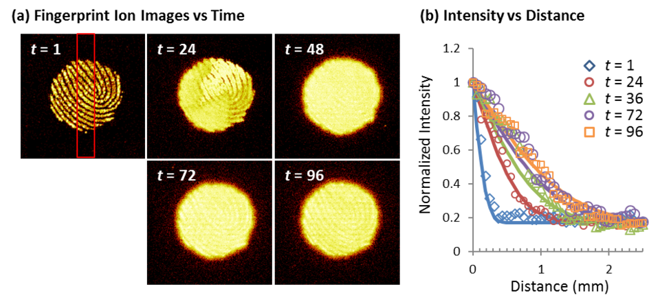 ToF-SIMS secondary ion image of a fingerprint 