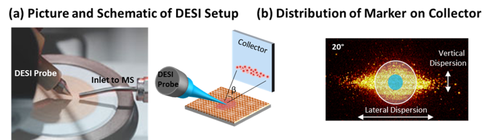 Visualization of the desorption electrospray ionization