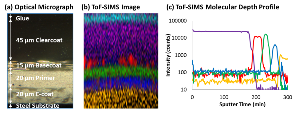 Optical micrograph of the automotive paint multilayer cross-section