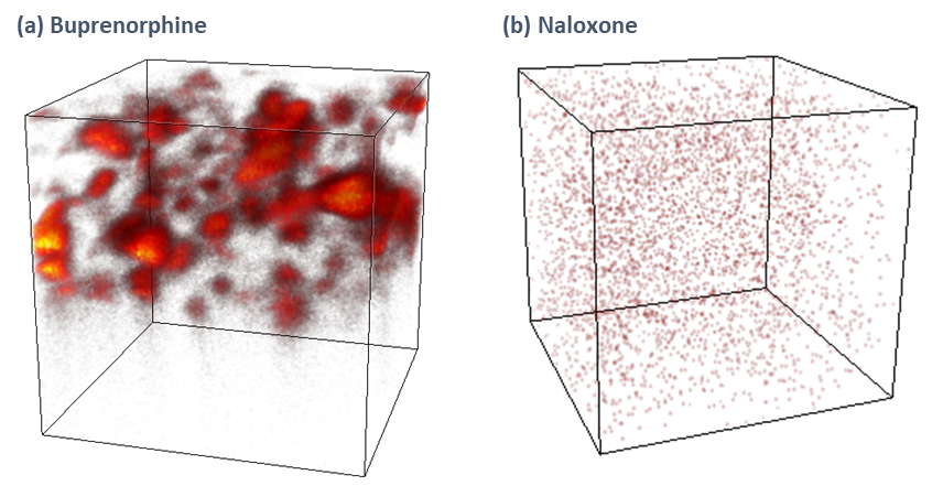 ToF-SIMS 3D image of active APIs inside a drug delivery film