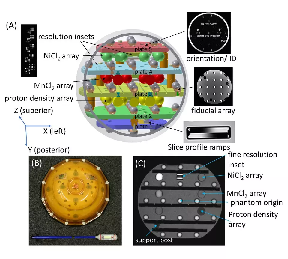 MRI system phantom