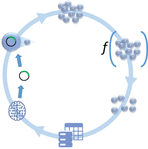 Autonomous Protein Engineering