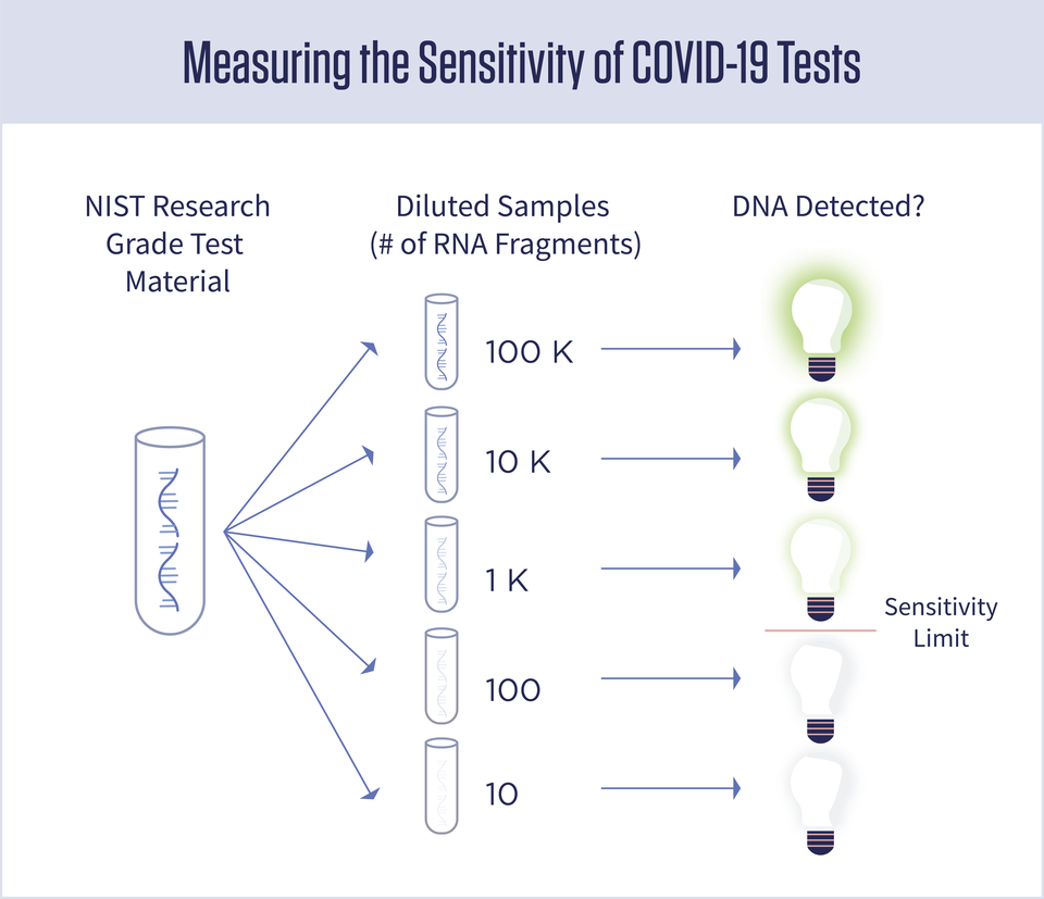 A diagram showing five tubes with decreasing amounts of viral RNA in them. Lightbulbs next to each tube are either glowing or not glowing, indicating positive or negative test results.