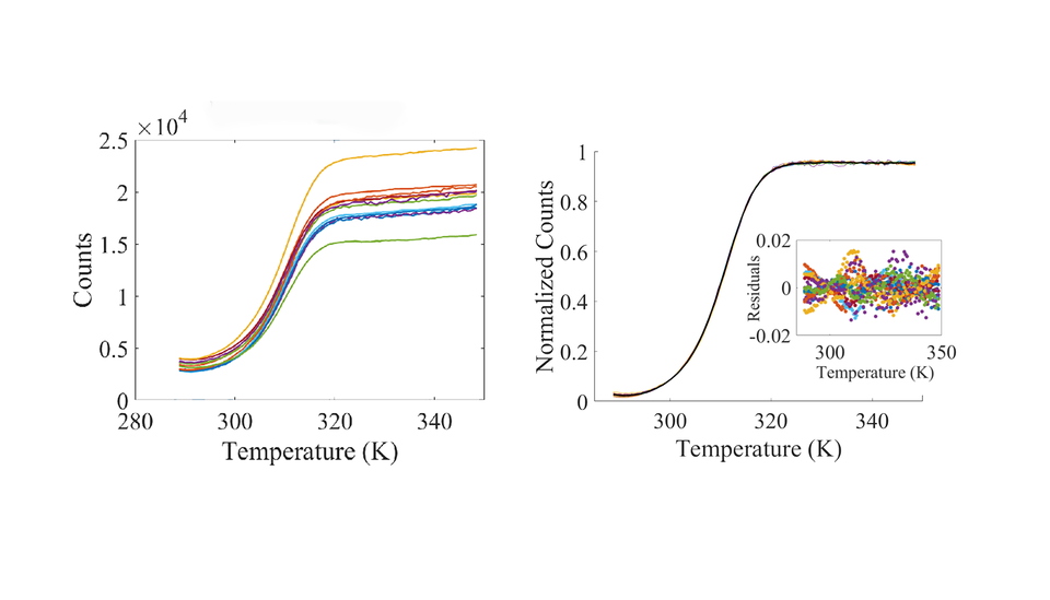 DNA melt curve graphs