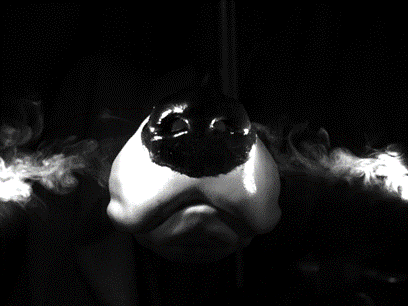 Airflow during exhalation from artificial dog nose