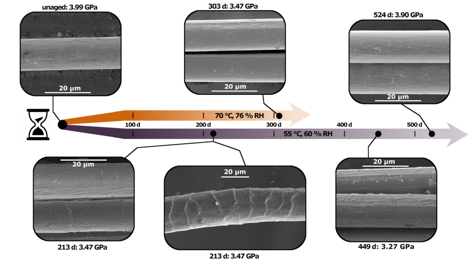 Aging timeline SEM micrographs of fibers