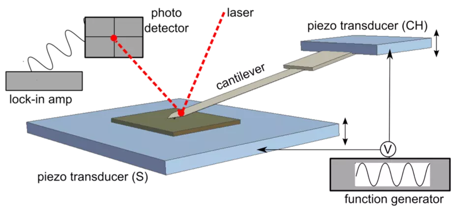 The AFM has multiple parts including cantilever, optical detection, sample scanning and more