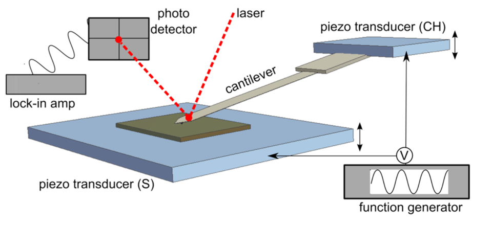 The AFM has multiple parts including cantilever, optical detection, sample scanning and more