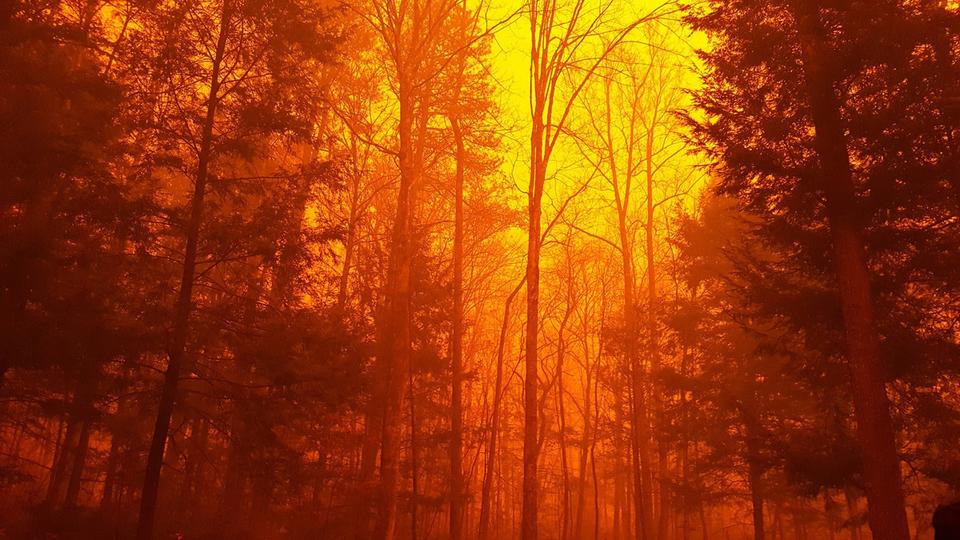 Wildfire burns forest in Gatlinburg, Tennessee