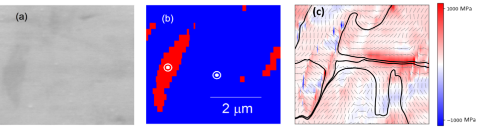 ferroelectric domains in BaTiO3