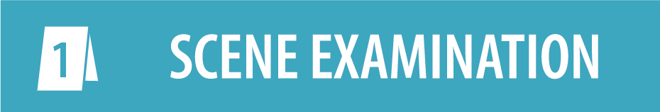 Scene Examination SAC banner