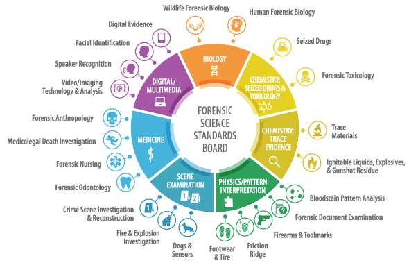 OSAC 2.0 organizational structure