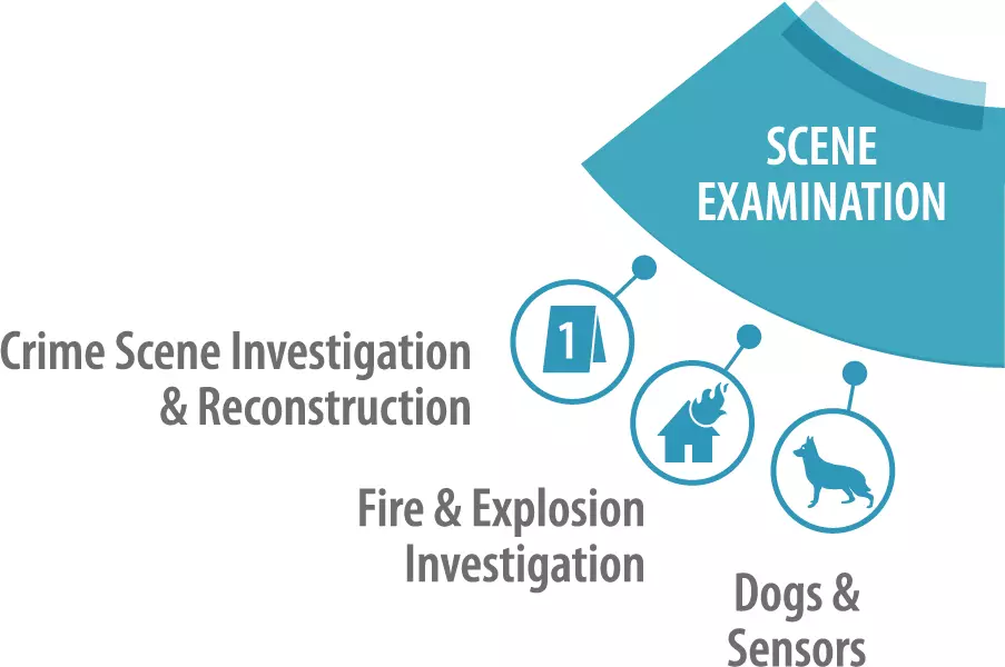 Scene Examination SAC and subcommittees