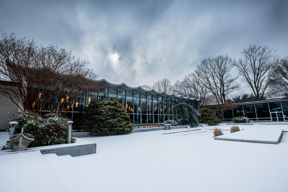 building in background. Bare trees. Snow on ground.