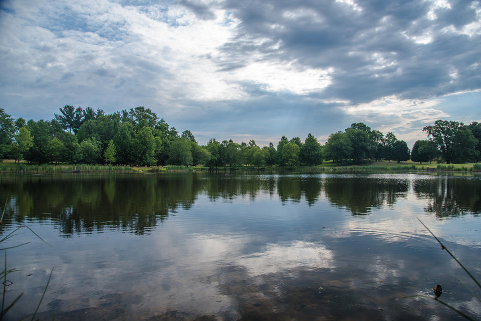 Foreground: Lake. Background: Trees.