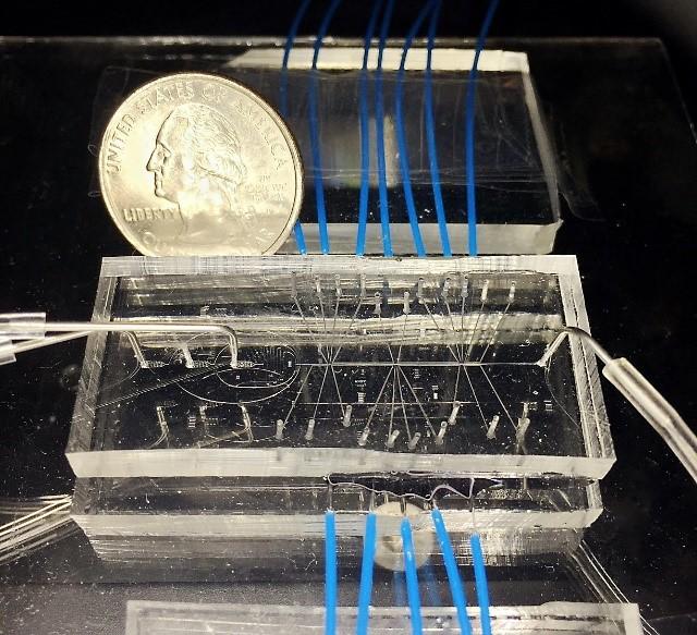 Microfluidic cytometer