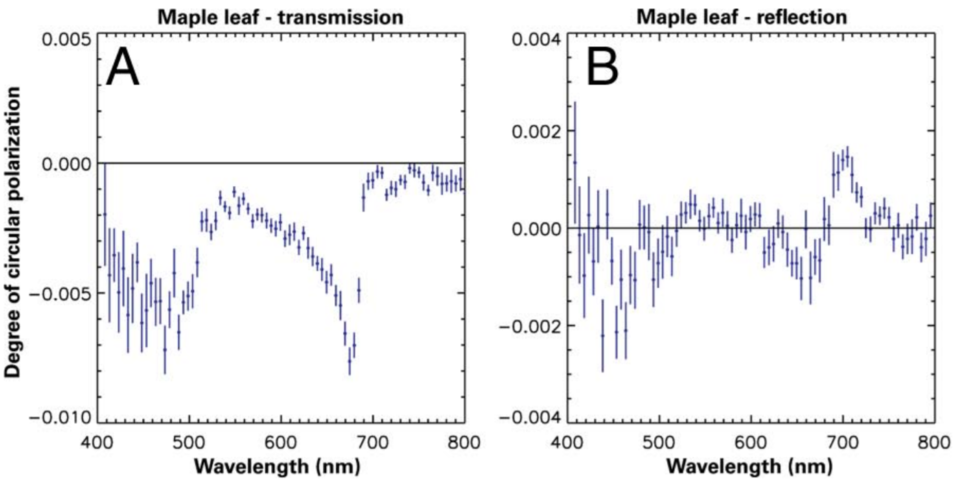 circular polarization