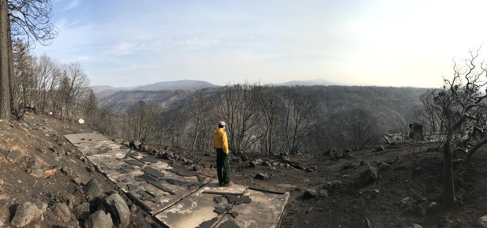 A researcher standing on recently burned terrain.