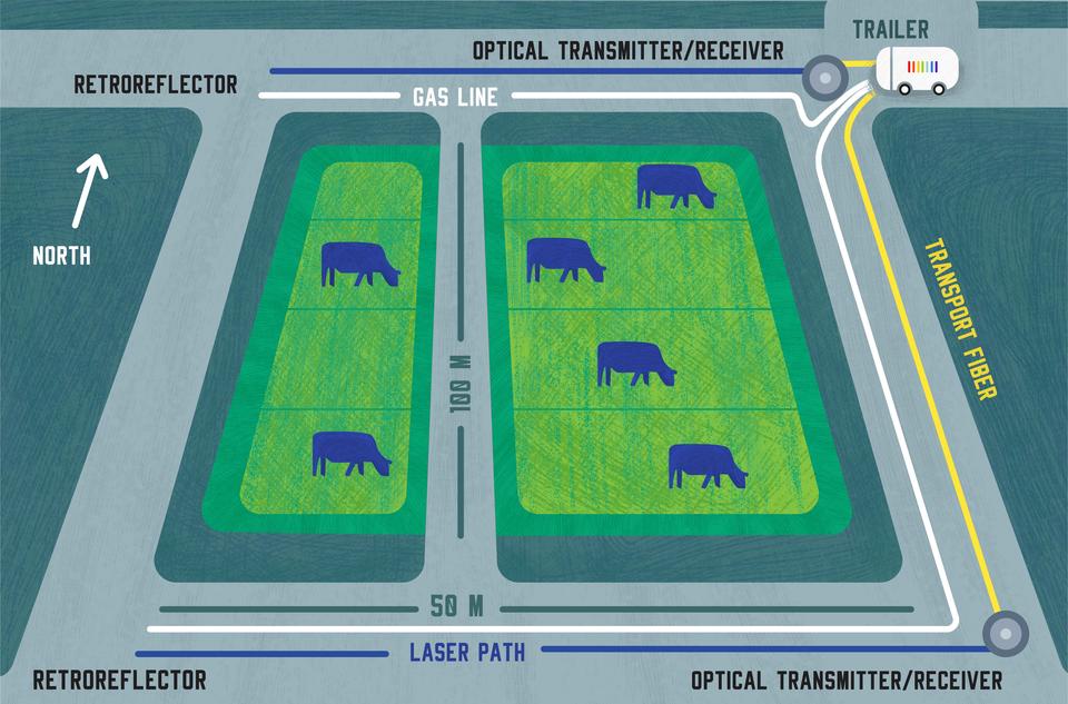 Illustration shows cows in field with laser and fiber paths around the edges.