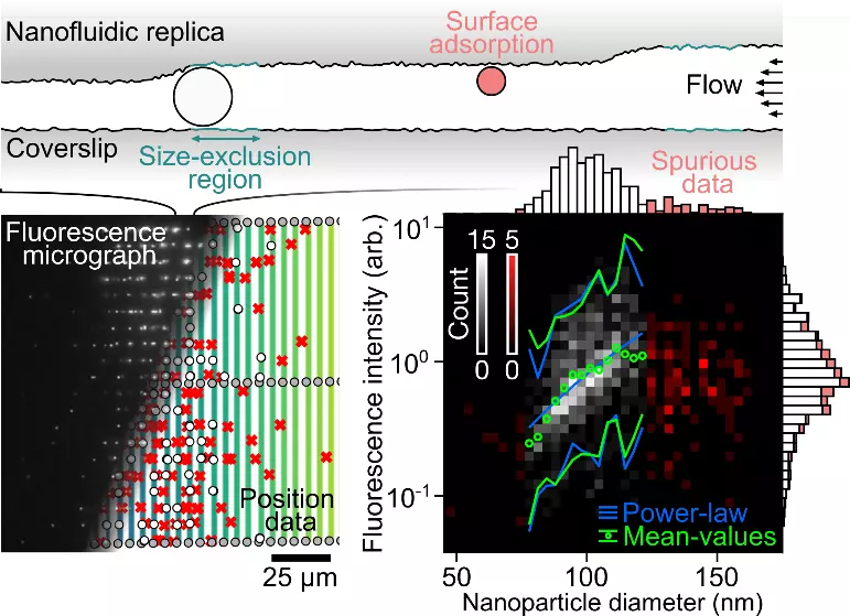 Nanofluidic replicas graphs