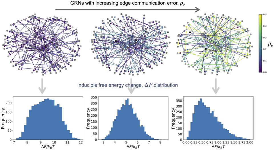 Relative free energy distributions from gene regulatory networks.