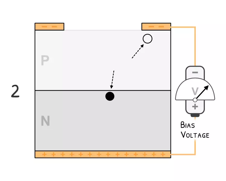 The electron and hole are accelerated by the applied bias voltage.