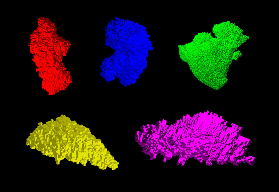 Five fragments of moon dust glow in bright colors on a black background.