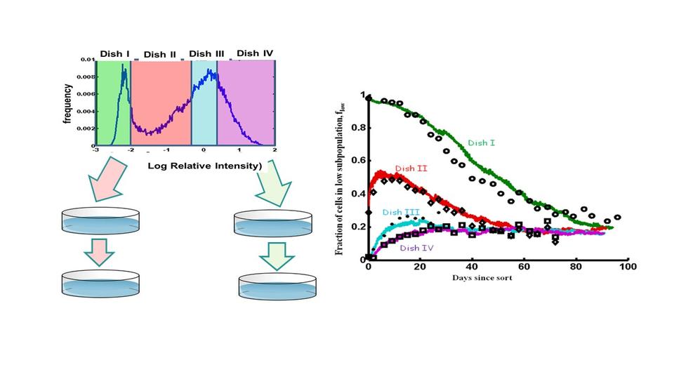 Experiment design and data