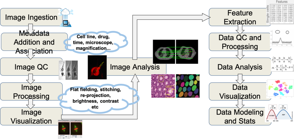 WIPP Image Analysis