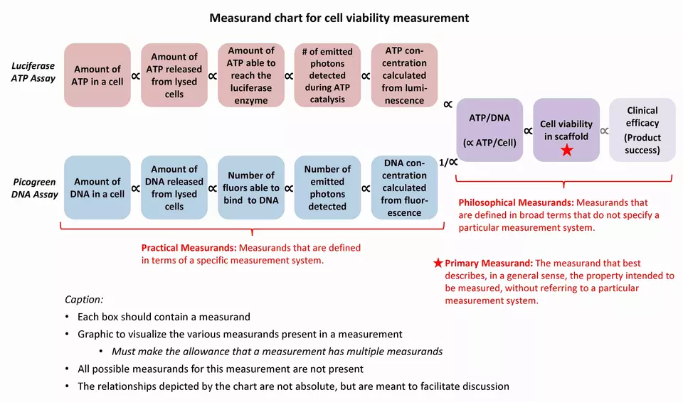 Tissue engineering measurands figure