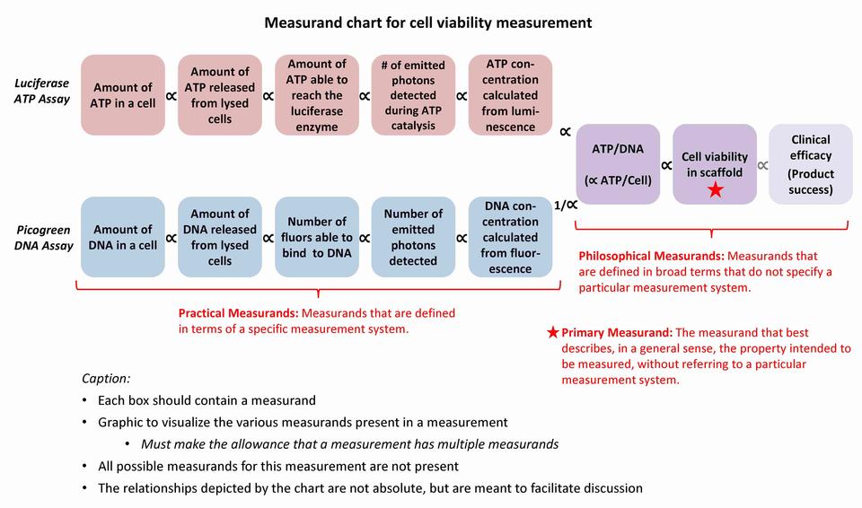 Tissue engineering measurands figure