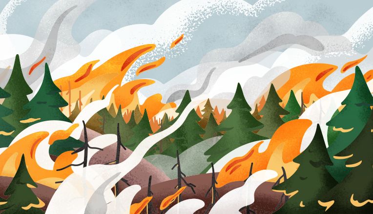 Illustration shows flames and smoke over a pine forest. 