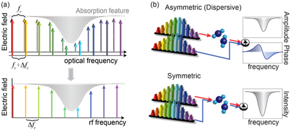 dual-comb spectroscopy illustration