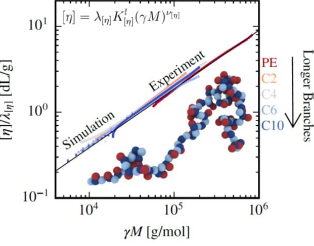 intrinsic viscosity versus molar mass (log-log scale) plot showing a linear relationship and near-complete overlap between simulation and experimental data of short chain branched polyethylenes (branch lengths from 1 - 10 carbons)