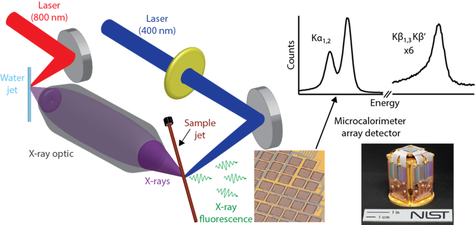 X-Ray Spectrometer