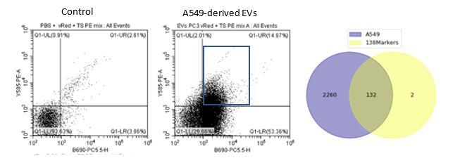 PC5.5 vs. Y585-PE