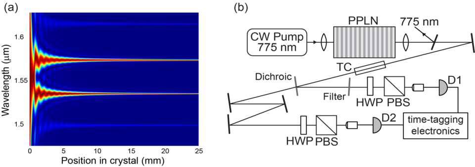 experimental setup