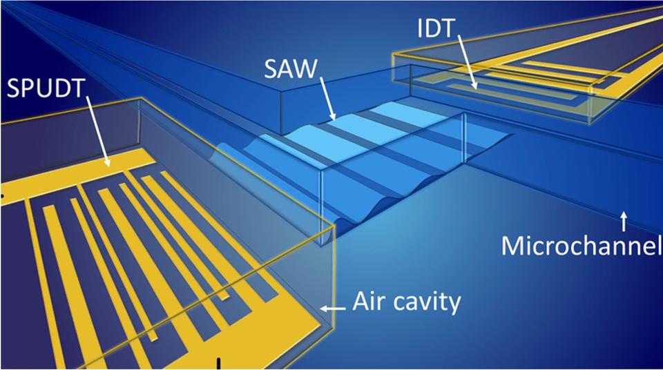 Surface acoustic waves