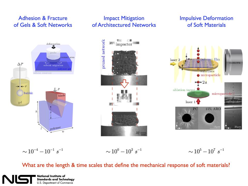 Fundamentals of Polymer Mechanics Project Overview